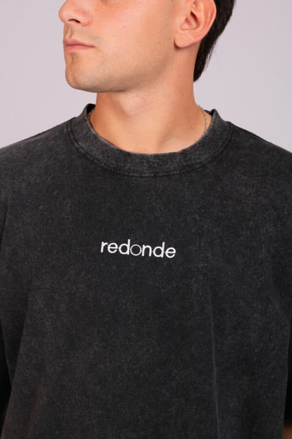 IMG_7609 La 9 - Remera Wash